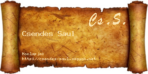 Csendes Saul névjegykártya